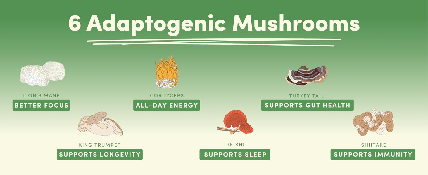 Ryze Mushroom Matcha (Pack of 2)