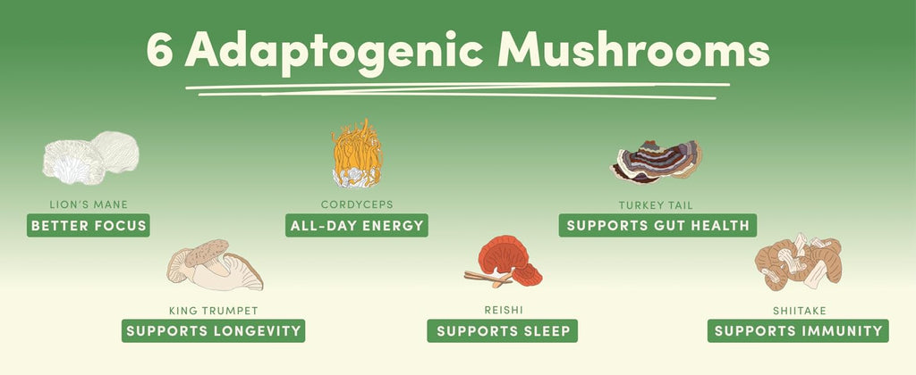 Ryze Mushroom Matcha